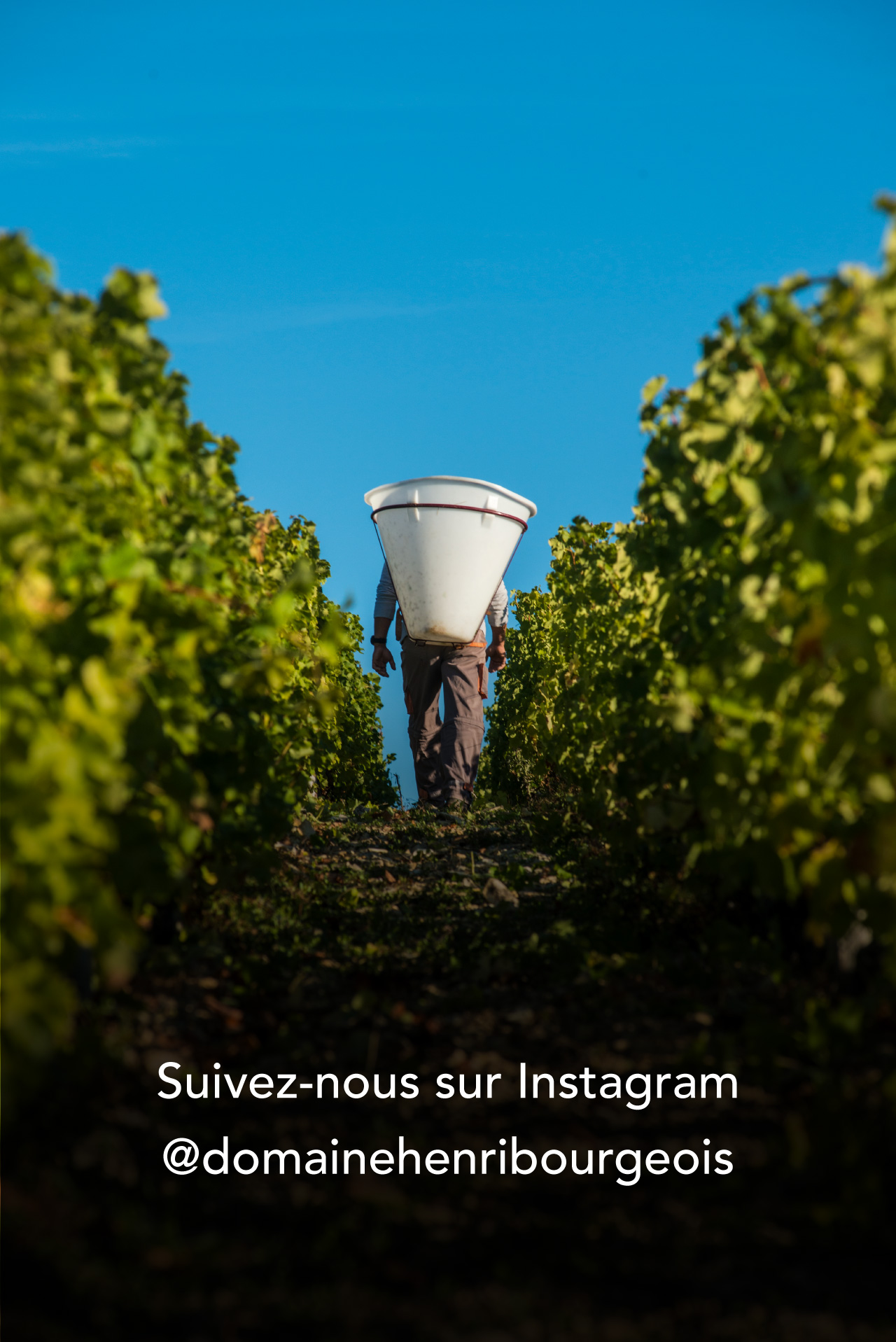 Instagram Domaine Henri Bourgeois